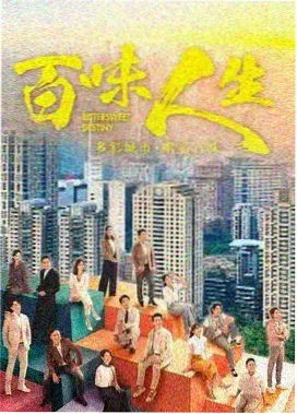 热播剧集 都市回声 封面